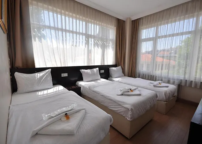 فندق بايكال 2*