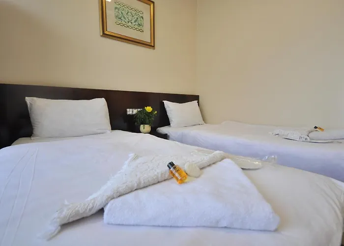 بايكال 2* اسطنبول